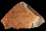 Orange Aragonite on Scalenohedral Calcite - Mexico #127081-1